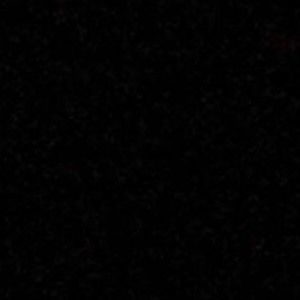 Meet your Posher, Gavin